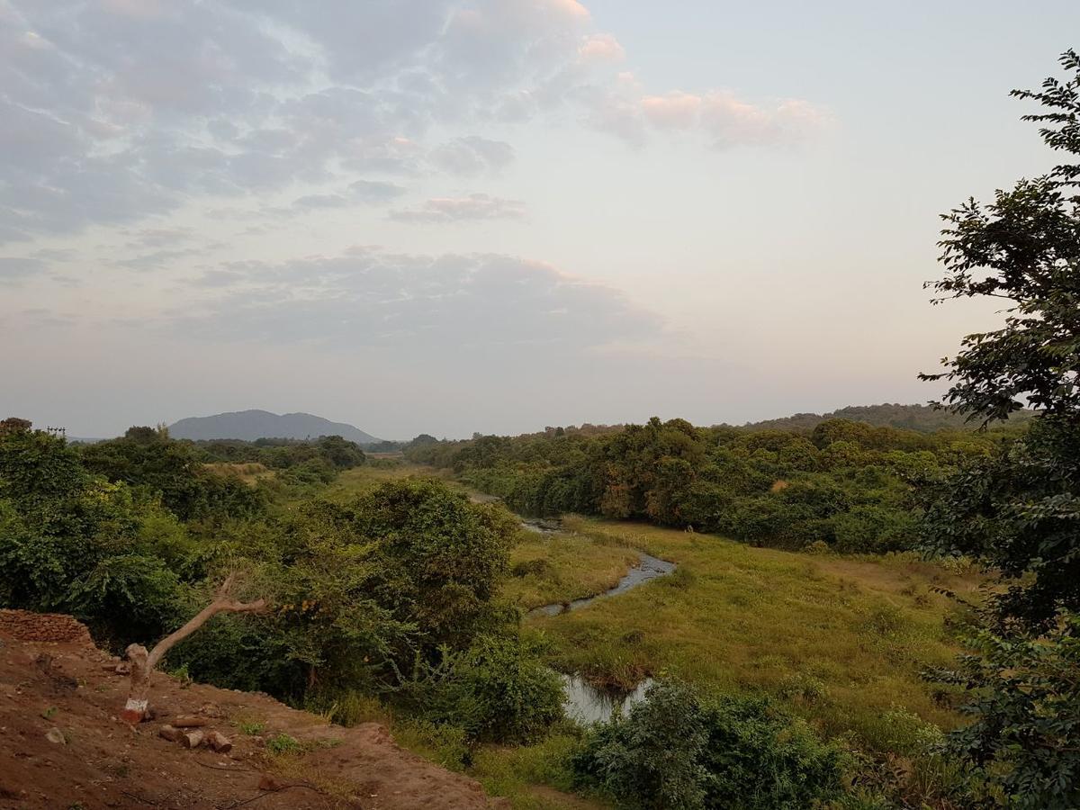 Hiran Holidays Sasan Gir Exteriör bild